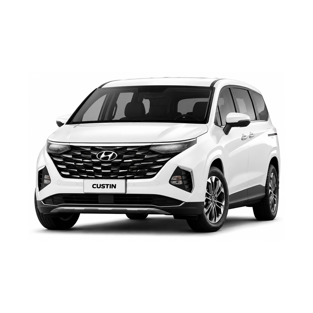 Hyundai Custin — фото 1